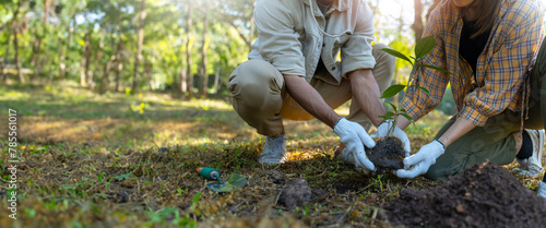 Group of volunteers plant trees to get clean ozone Watering trees in the park.Plant trees along the river rich ecology.Replanting trees that were destroyed To fight climate change and global warming