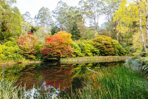 Dandenong Ranges Botanic Garden in Olinda Australia