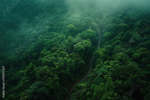 Rain-soaked route through lush forests during monsoon season - Aerial view of scenic road amidst verdant greenery and tranquil rainfall.