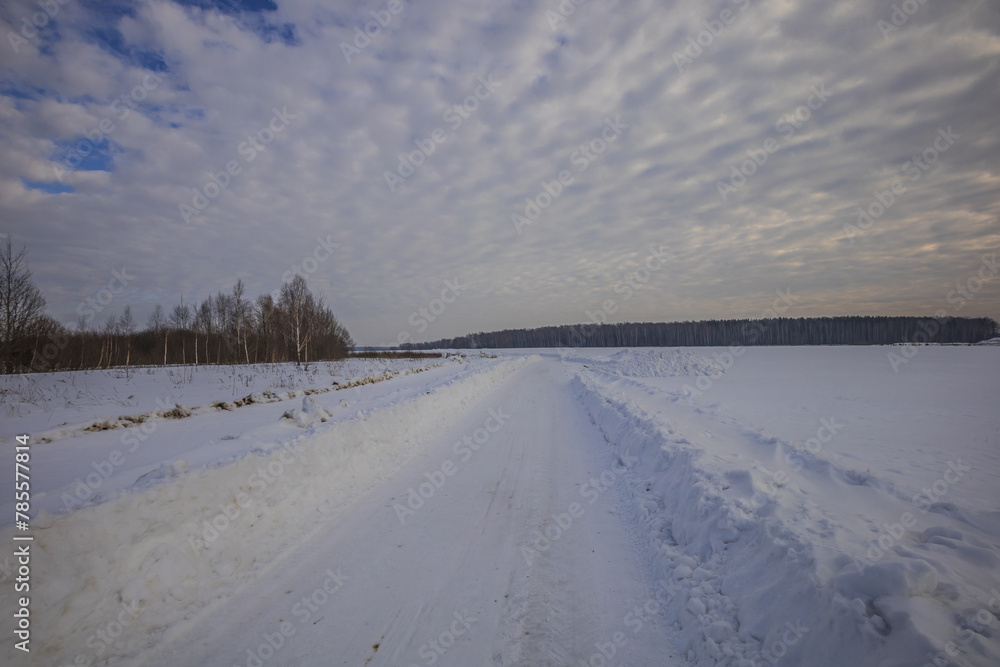 winter nature in the Russian countryside winter nature in the Russian countryside