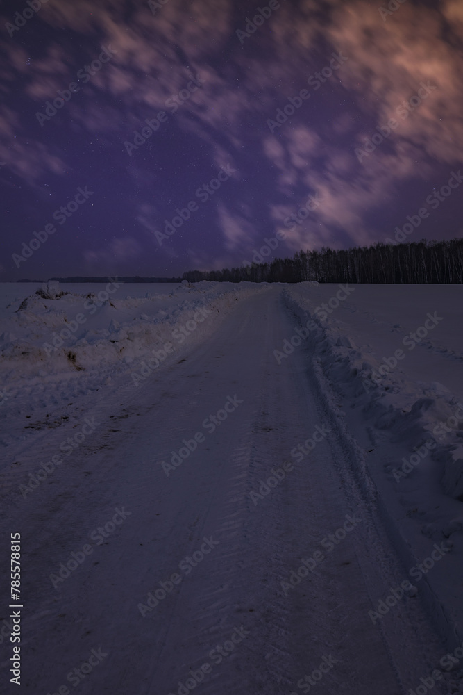 winter night landscape with stars