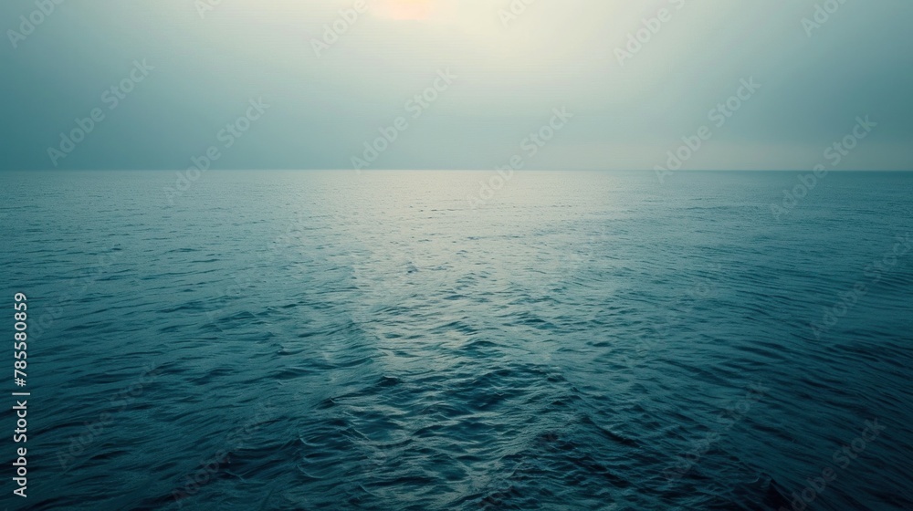 Obraz premium Subtle gradient of pale blue and gray, reminiscent of dawn breaking over a tranquil seascape, evoking a sense of fragility and calmness.