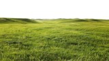 Lush green grass field for product montages and displays against white backdrop.