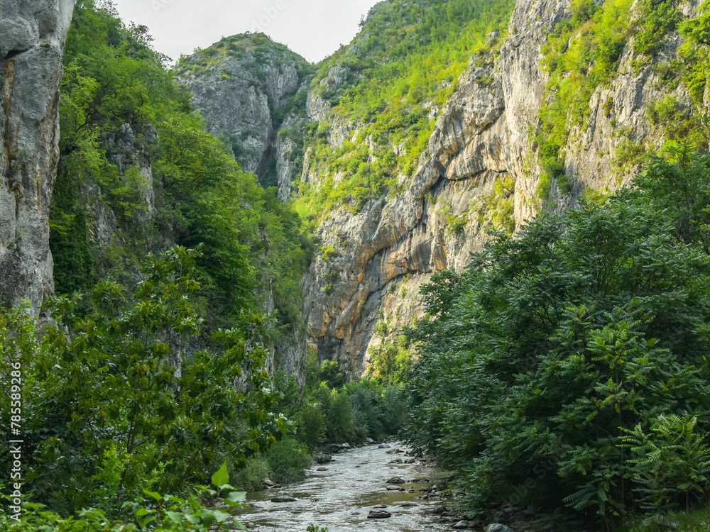 A river flowing through a canyon narrowed by vertical stone walls and sharp cliffs on which tree grow, lit by the sunlight. Sohodol Gorges, Carpathia, Romania. A river flowing through a canyon narrowed by vertical stone walls and sharp cliffs on which tree grow, lit by the sunlight. Sohodol Gorges, Carpathia, Romania.