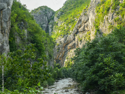 A river flowing through a canyon narrowed by vertical stone walls and sharp cliffs on which tree grow, lit by the sunlight. Sohodol Gorges, Carpathia, Romania. 
