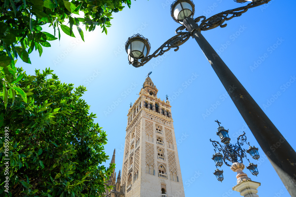 Obraz premium La Giralda, Catedral de Sevilla, Andalusia, Spain, Europe