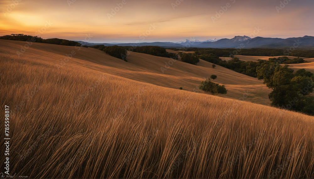 Fototapeta premium beautiful farm landscape