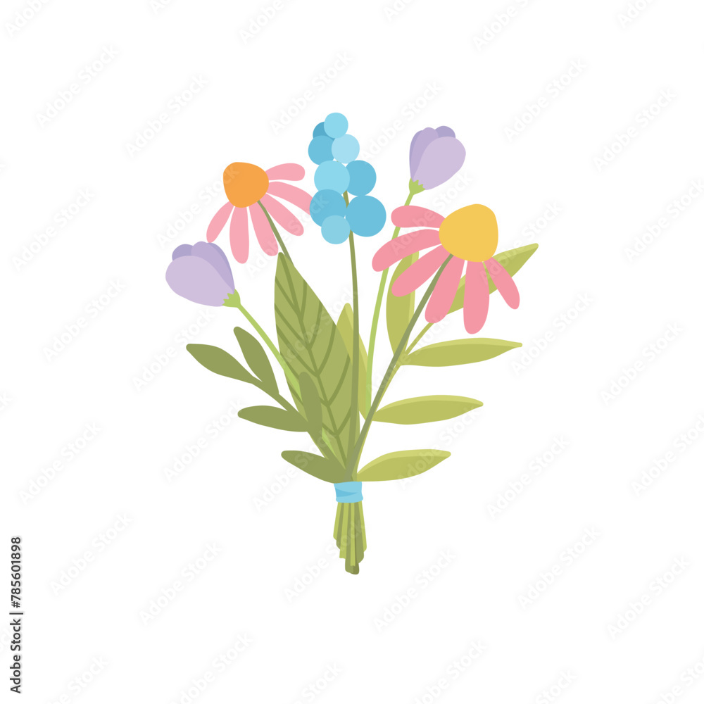 Spring field flower. Meadow floral branch, stem. Blooming blossomed plant. Fragile delicate gentle herb, simple wildflower. Botanical natural flat vector illustration isolated on white