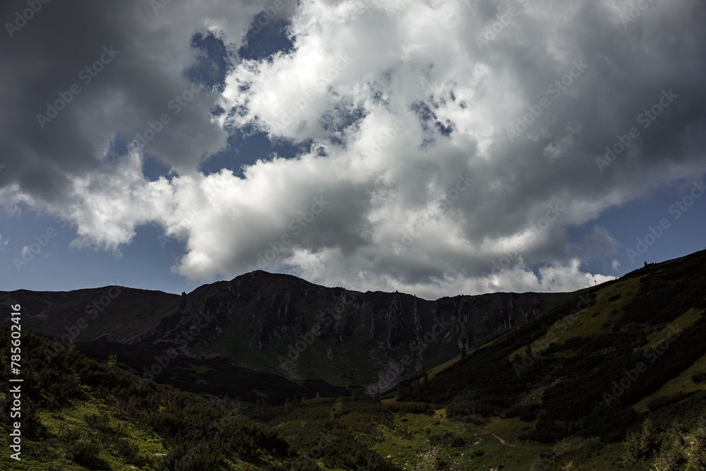Fototapeta premium Summer day in the mountains. Mount Shpytsi, Chornohora, Carpathian Mountains
