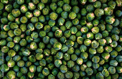 Green Brussels Sprouts in a Bunch