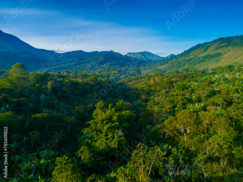 Selva colombiana 