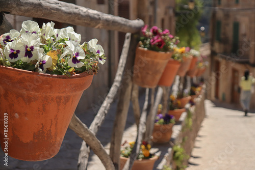 Street in valldemossa in mallorca with plants hanging in mud planters  photo