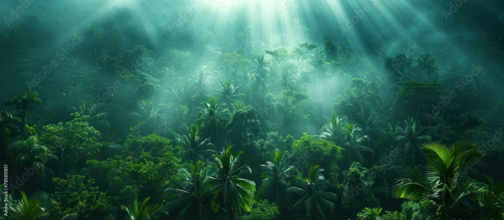 jungle canopy in the mist, lush green tropical forest jungle canopy in the mist, lush green tropical forest