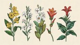 vintage botanical illustration of exotic flowers and foliage handdrawn sketch