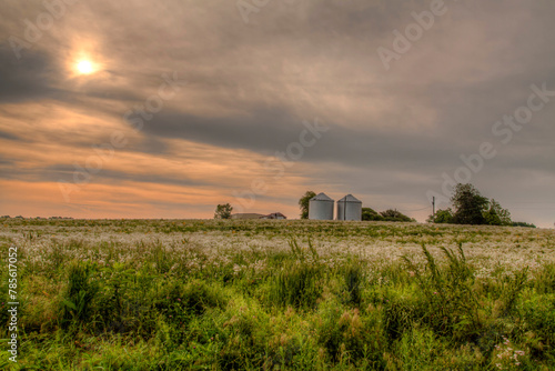 Flowers in a Field.  A tranquil rural scene is captured under a hazy sky with the sun partially obscured by clouds. In the midground, two silos stand next to a small structure.