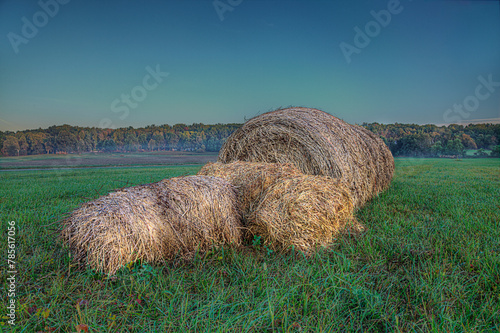 Severed.  A severed hay bale makes for an interesting shape in a hay field in rural Scott County Missouri.  