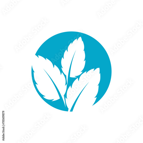 Mint leaf logo vector template symbol design