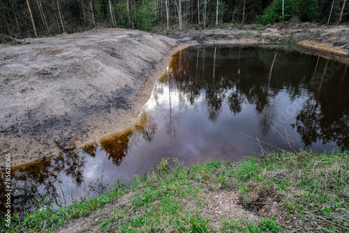 Small pond in forest at spring season background