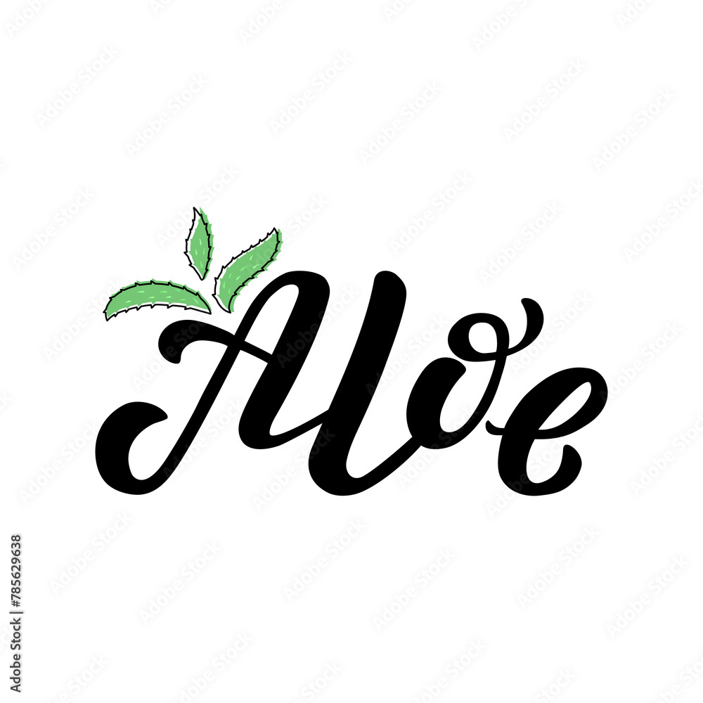 Aloe black lettering phrase on white background. Hand drawn vector illustration with aloe plant text decor for banner or advertising. Positive motivational nice quote for cosmetic care poster or print Aloe black lettering phrase on white background. Hand drawn vector illustration with aloe plant text decor for banner or advertising. Positive motivational nice quote for cosmetic care poster or print