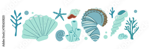 Marine nautical seamless border flat vector illustration. A seamless border with shells and starfish. Beach marine illustration. Summer vacation .Suitable for decor, design of summer illustrations