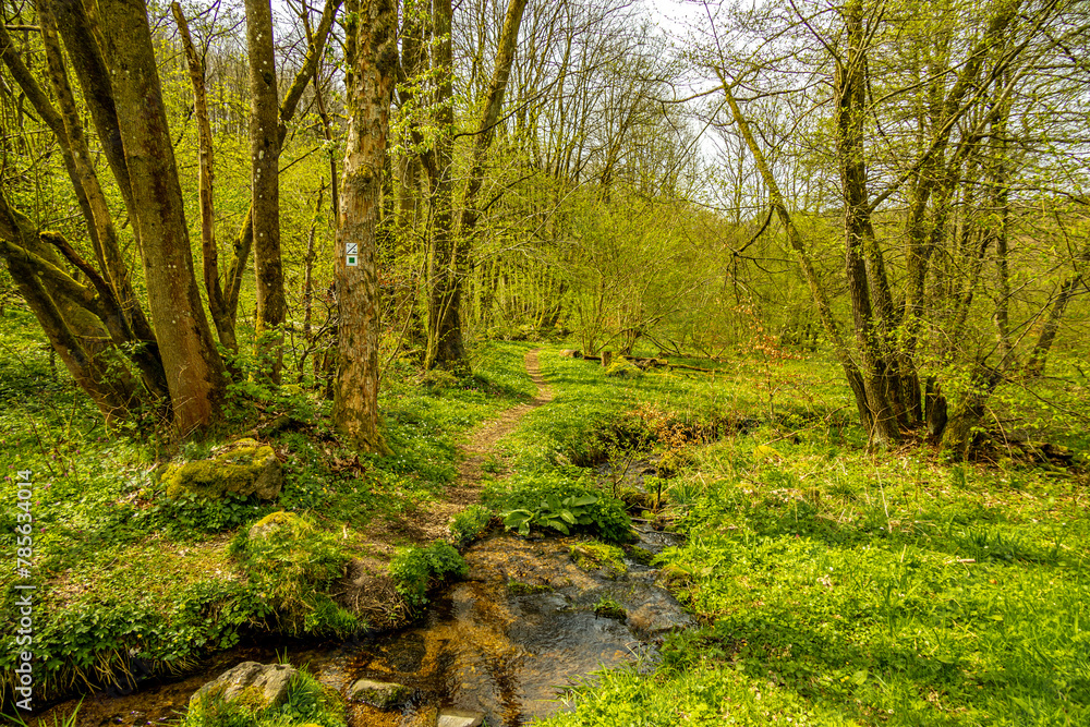 Eine kleine Wandertour von Bad Liebenstein bis zum Rennsteig, inkl. dem Frühlingserwachen im Altensteiner Park bei herrlichen Sonnenschein - Thüringen - Deutschland