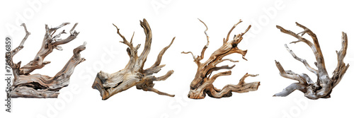 Set of driftwood  on transparent background Remove png © Imran