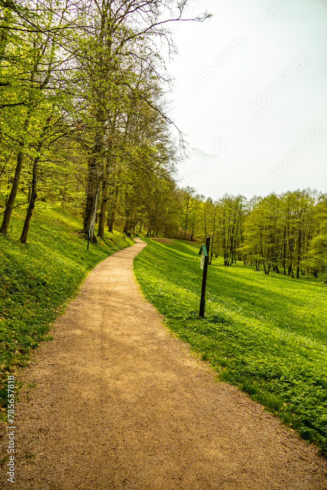 Eine kleine Wandertour von Bad Liebenstein bis zum Rennsteig, inkl. dem Frühlingserwachen im Altensteiner Park bei herrlichen Sonnenschein - Thüringen - Deutschland