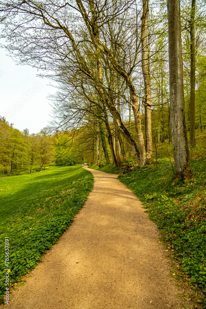 Eine kleine Wandertour von Bad Liebenstein bis zum Rennsteig, inkl. dem Frühlingserwachen im Altensteiner Park bei herrlichen Sonnenschein - Thüringen - Deutschland Eine kleine Wandertour von Bad Liebenstein bis zum Rennsteig, inkl. dem Frühlingserwachen im Altensteiner Park bei herrlichen Sonnenschein - Thüringen - Deutschland