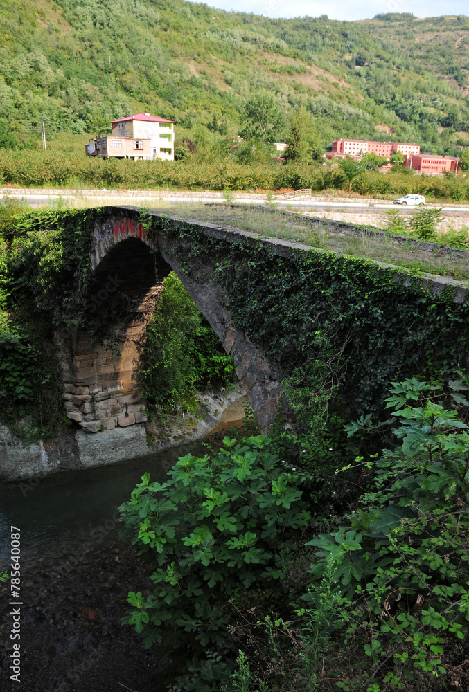 Historical Teraziler Bridge in Macka, Trabzon, Turkey. - obrazy, fototapety, plakaty 