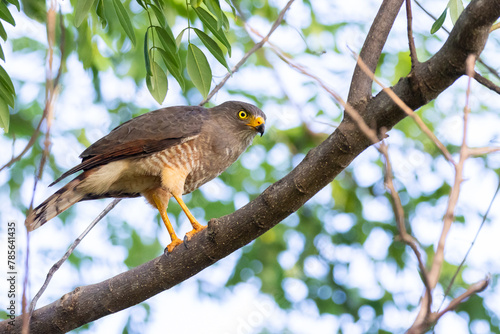 Wallpaper Mural Wegebussard Torontodigital.ca