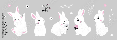 Photography Cute white rabbit in various poses