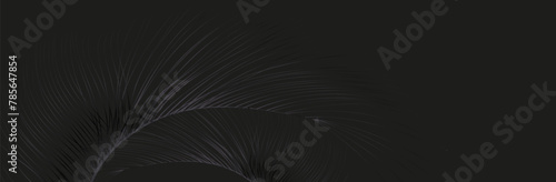 Background of flying realistic vector  goose or swan black feathers.Ecological feather filler for pillows, blankets or jackets.Vector concept design.