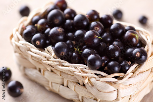 Fresh ripe blackcurrant berries in a basket. Close-up