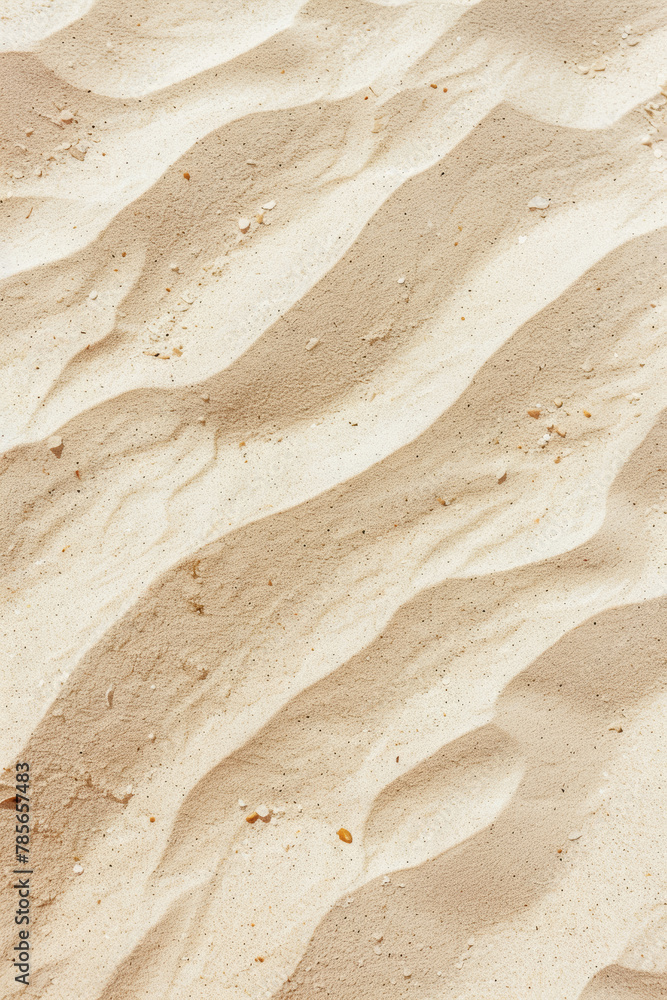 Obraz premium Tranquil Beige Sand with Intricate Natural Designs