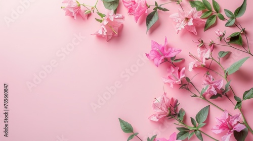 Summer wildflowers on pastel background © PD
