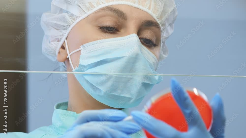 Closeup of a scientist hand arranging glass plate or petri dishes on a table in research lab. Medical biologist using glassware for virus testing samples of bacteria in cells at medical lab facility. Closeup of a scientist hand arranging glass plate or petri dishes on a table in research lab. Medical biologist using glassware for virus testing samples of bacteria in cells at medical lab facility.