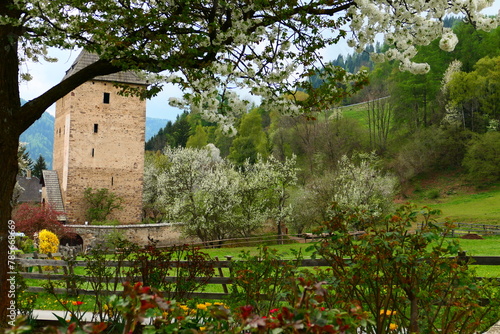 Frühling in Baierdorf, Schöder, Steiermark