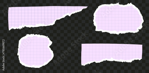 Set with of torn papar with checkered pattern of notebook