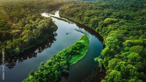 A river meandering through a dense forest seen from above