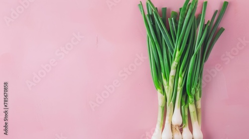 Green onion vegetable top view on the pastel background