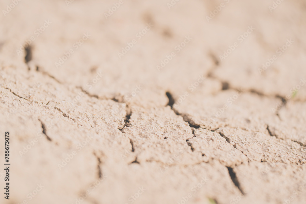 parched, cracked earth in the desert parched, cracked earth in the desert