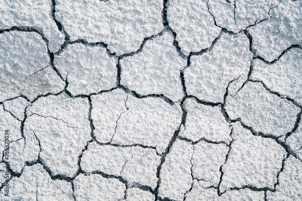Obraz premium parched, cracked earth in the desert