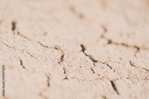 parched, cracked earth in the desert