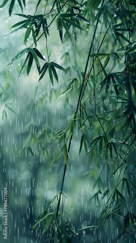 Close up of a bamboo twig in the rain  part of the terrestrial plant landscape