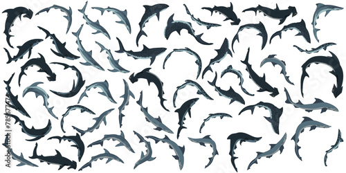 Sea sharks collection on white background. Vector illustration.