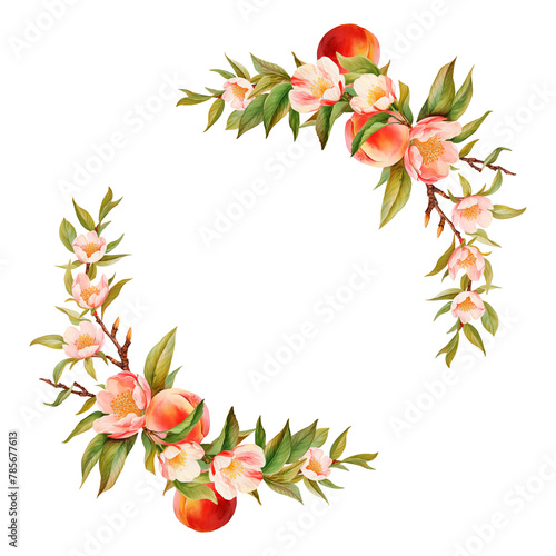 Watercolor wreath with peaches tree blooming branches and fruits, isolated illustration for wedding and holiday cards, kitchen design, posters (ID: 785677613)