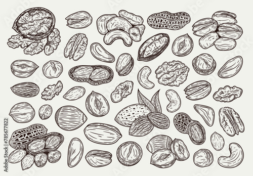 Different types of nuts detailed icons, nut kernels and shells