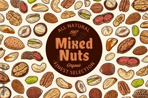 Vector mixed nuts label. Nuts seeds, kernels and shells hand-drawn vector icons