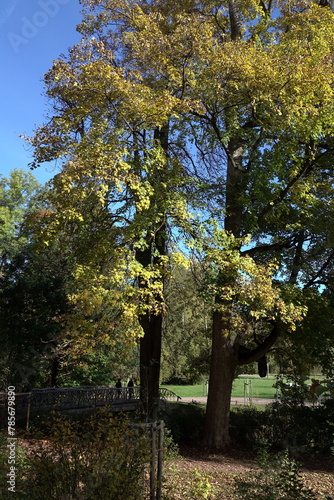 Park an der Ilm in Weimar photo