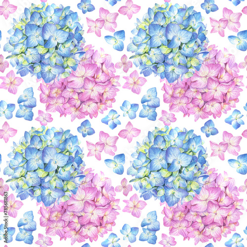 Seamless pattern with blue and pink  hydrangea on a white background. Watercolor illustration of summer flowers in botanical style